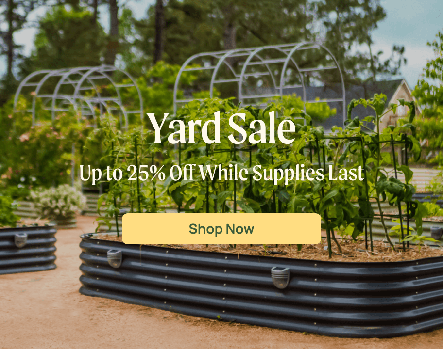 Vego garden beds