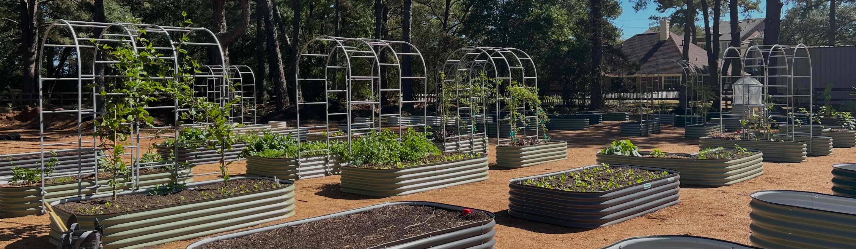 Vego garden beds