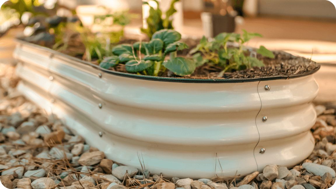Vego garden beds