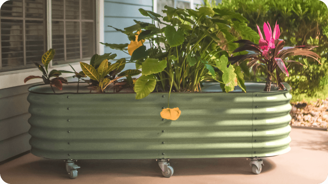 Vego garden beds