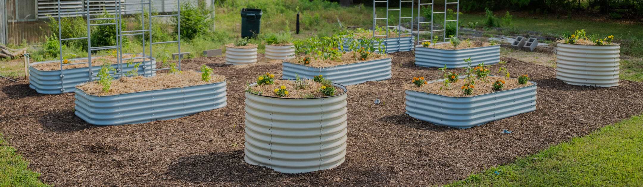 Vego garden beds