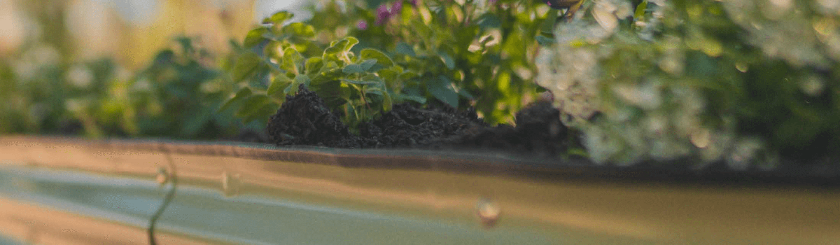 Vego garden beds