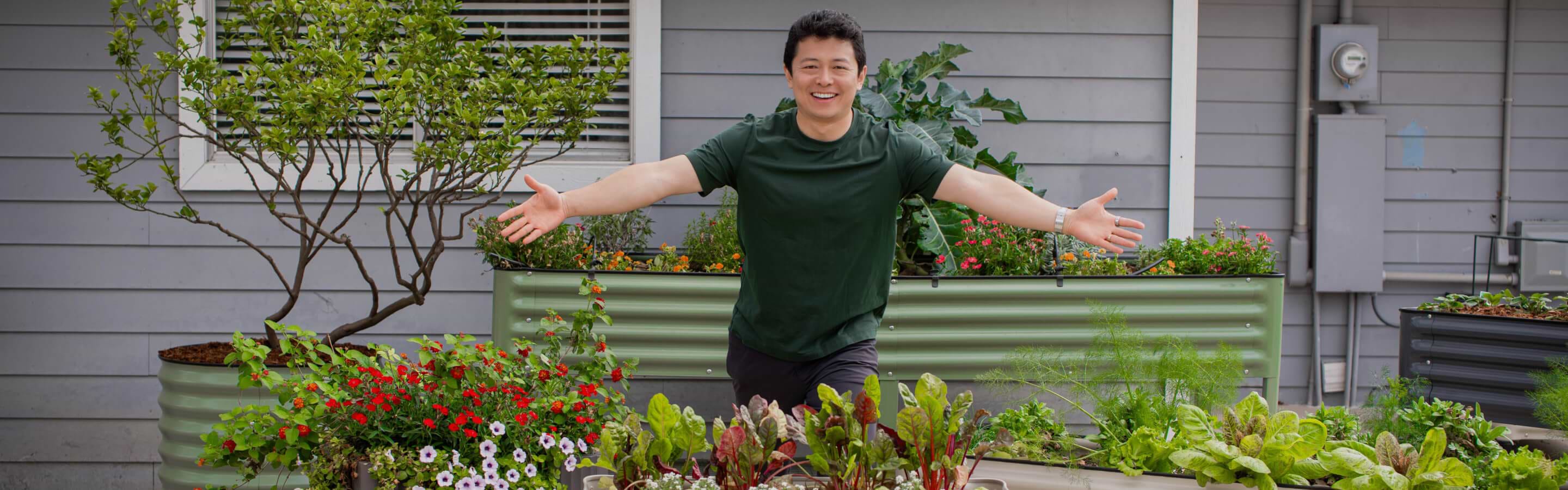 Vego garden beds