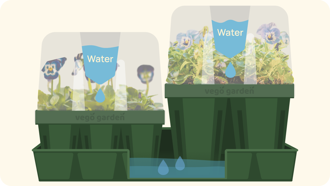 Vego garden beds