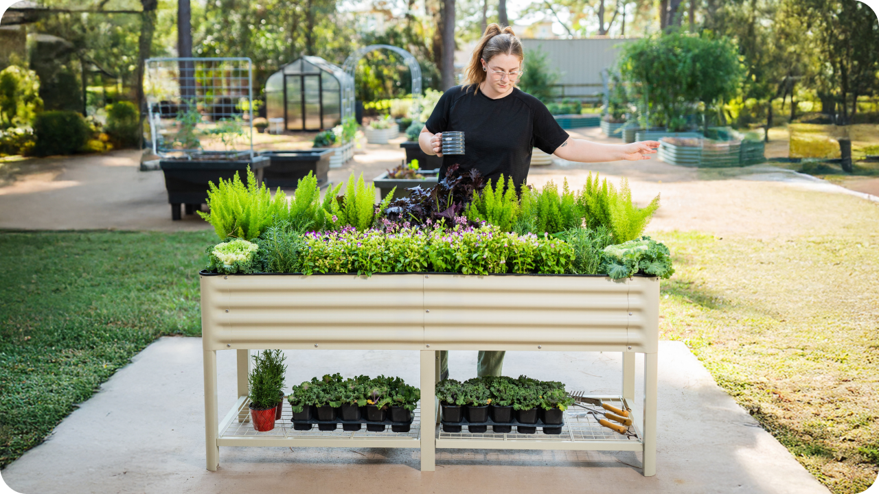 Vego garden beds