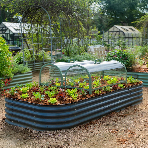 Pacific Garden Cloche