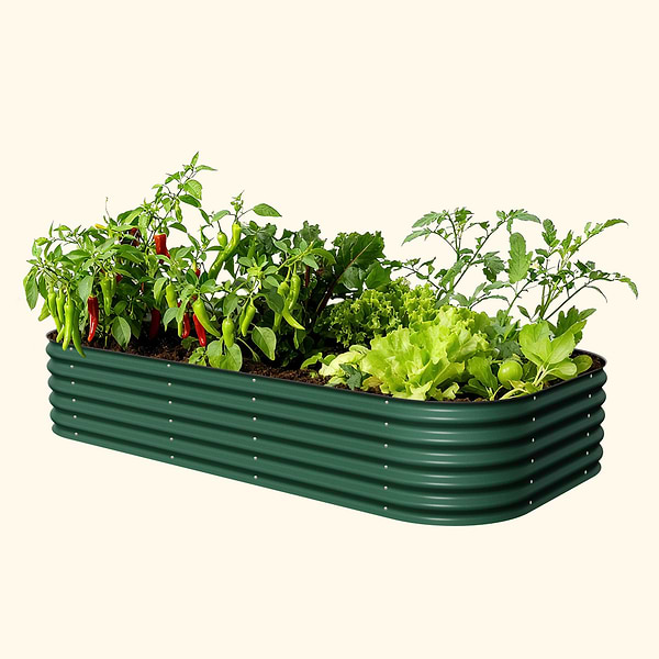 British Green