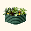British Green