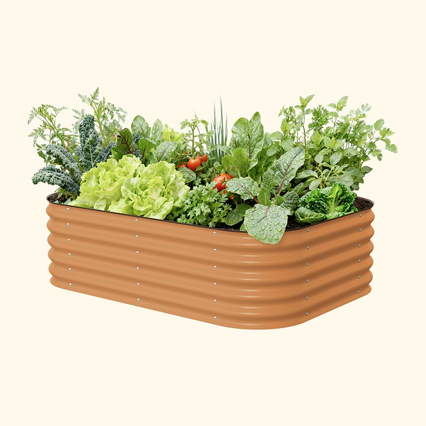 Terra Cotta