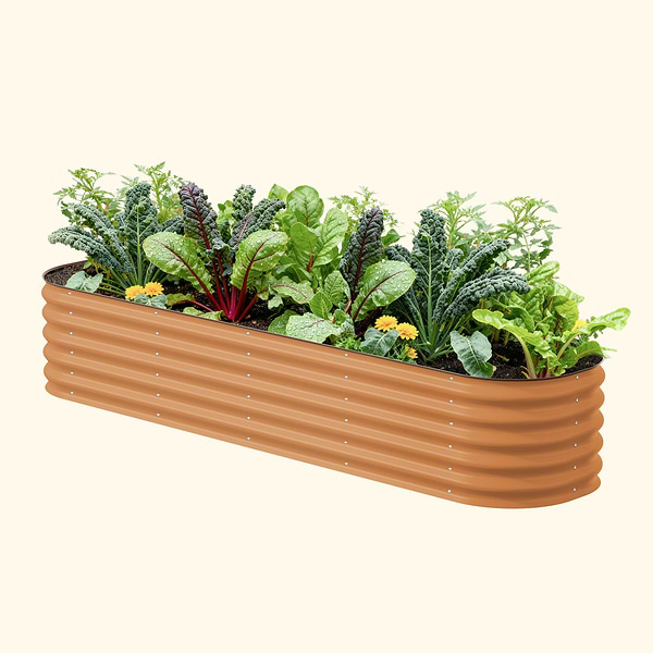 Terra Cotta