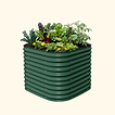 British Green