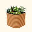 Terra Cotta