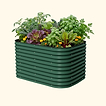 British Green