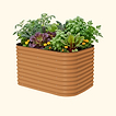 Terra Cotta
