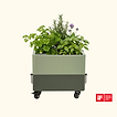 Sage Green