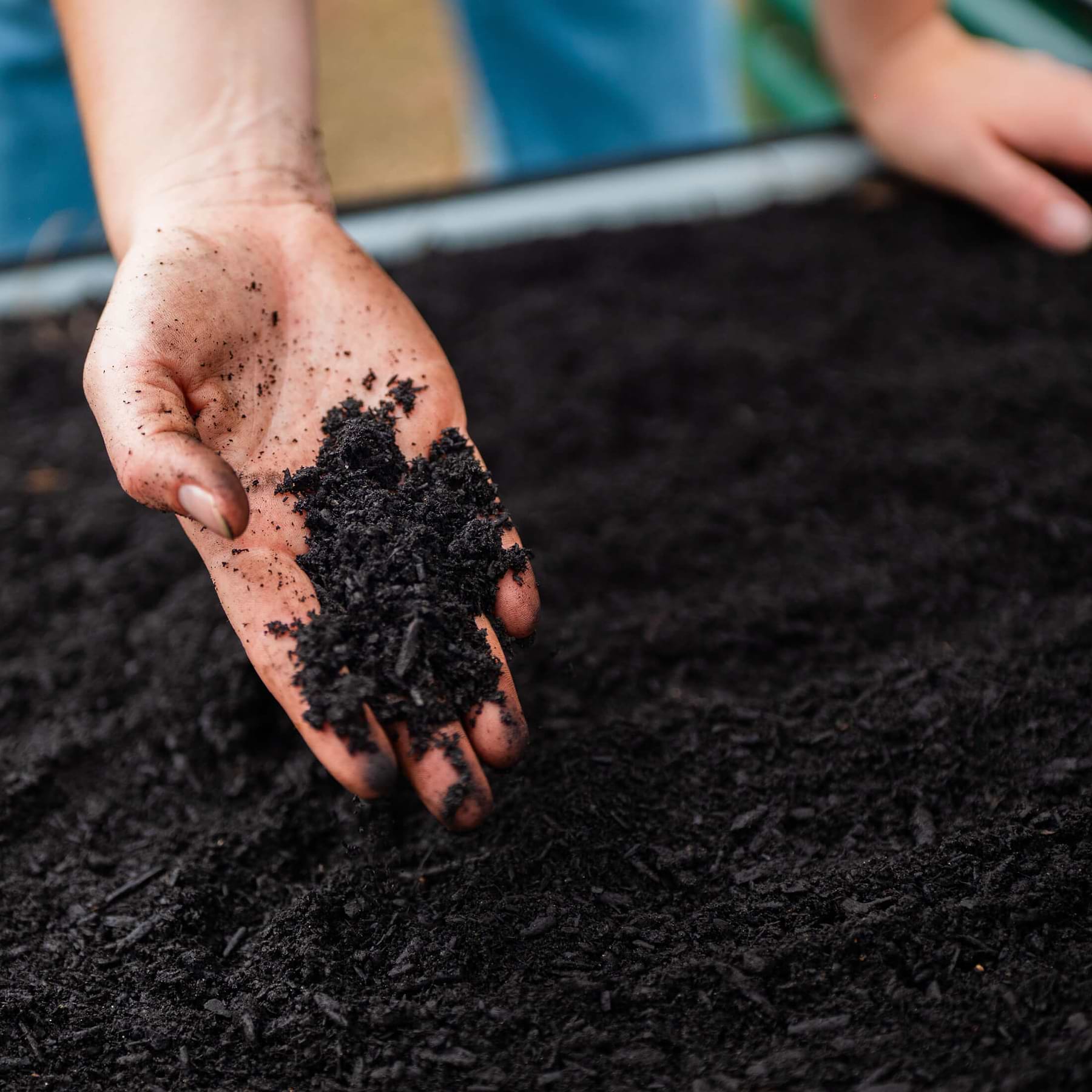 Margo Compost Vego Garden Regenerative Compost