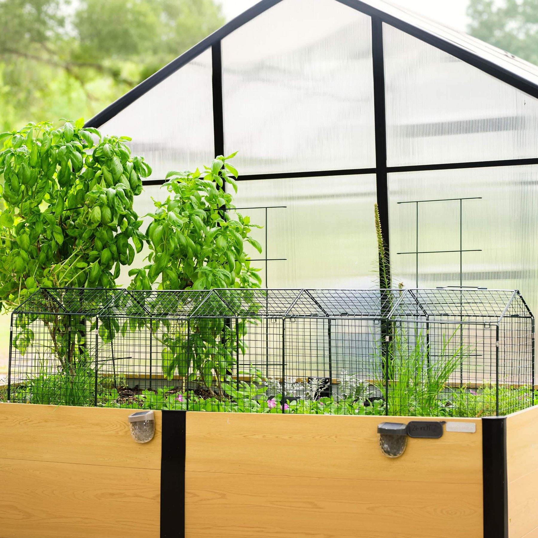 Wire Garden Cloche Extension for 3-in-1 Cloche | Vego Garden