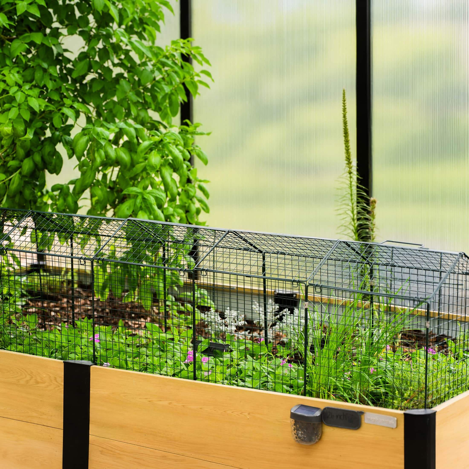 Wire Garden Cloche Extension for 3-in-1 Cloche | Vego Garden