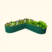 British Green