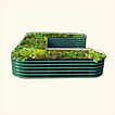 British Green