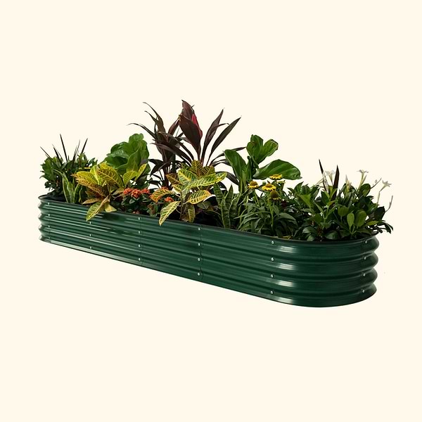 British Green