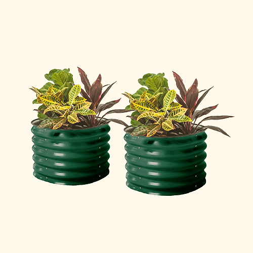 British Green
