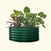 British Green