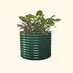 British Green
