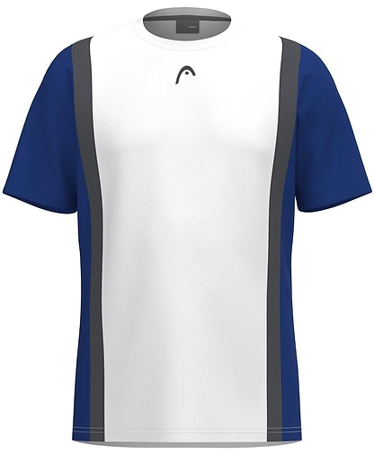 The HEAD Club Tech 25 Men's Badminton T-Shirt in Royal Blue/White features a white front panel, dark blue sleeves and sides, two vertical gray stripes, moisture transfer microfiber fabric, and a small black logo near the collar.