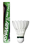 An upright green Ashaway tube marked "Pro Tour" stands beside a white Grade A goose feather badminton shuttlecock from the Ashaway Pro Tour Feather Badminton Shuttles (set of 12), both on a white background.