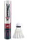 An Ashaway Dmantis D41 Hybrid Badminton Feather Shuttlecock with a green band stands beside its cylindrical tube labeled "Mantis 41 3in1.