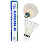 A tube containing Yonex Aerosensa AS40 badminton feather shuttlecocks is displayed alongside two shuttlecocks. One shuttlecock remains inside the tube, which features a blue and green label, while the other is shown separately, emphasizing its pristine white goose feathers.