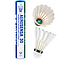 The Yonex Aerosensa AS30 Badminton Feather Shuttles, available in a set of 12, are designed with premium materials for improved flight stability. They come packaged in an elegant blue and white tube displaying "Aerosensa 30." The shuttlecocks are white and feature a distinct green and blue cap.