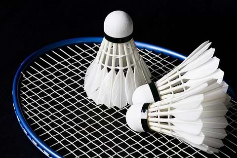 Example Badminton Feather Shuttlecocks