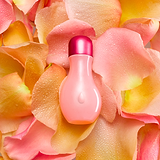 Rose Fragrance Oil