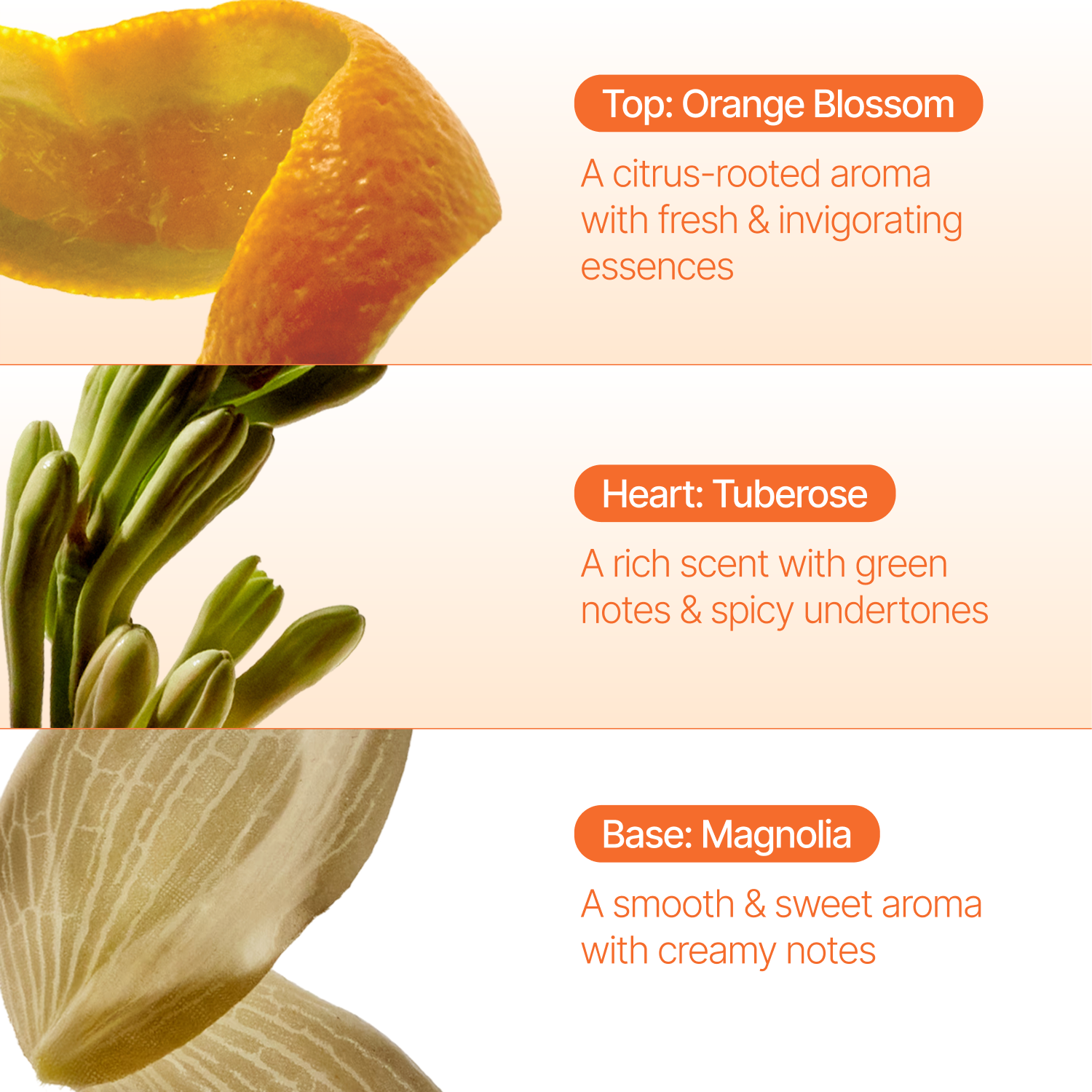 Orange Blossom Reed Diffuser