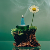 Green Grass Incense