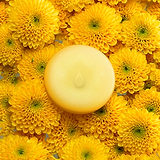 Mimosa Melts