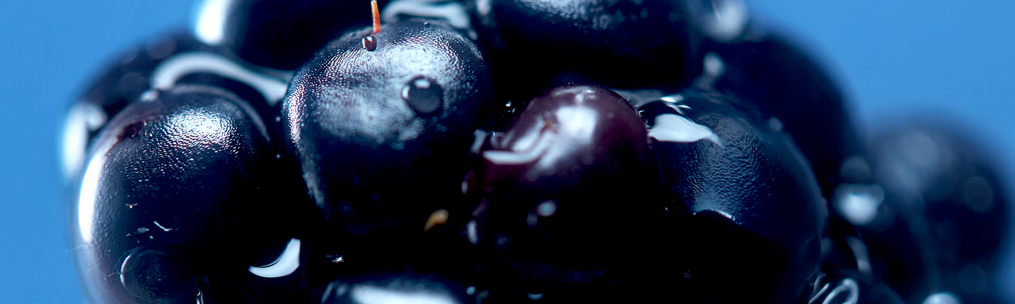 Wild Berry Aroma