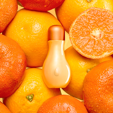Orange Blossom Fragrance Oil