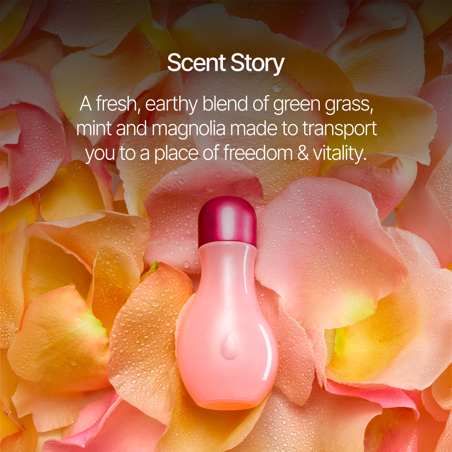 Rose Fragrance Oil