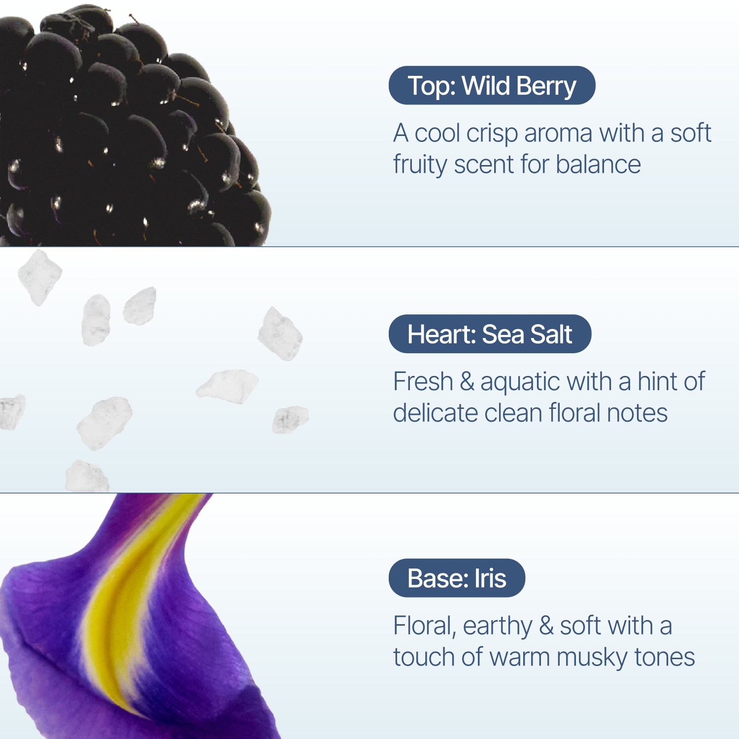 Wild Berry Incense