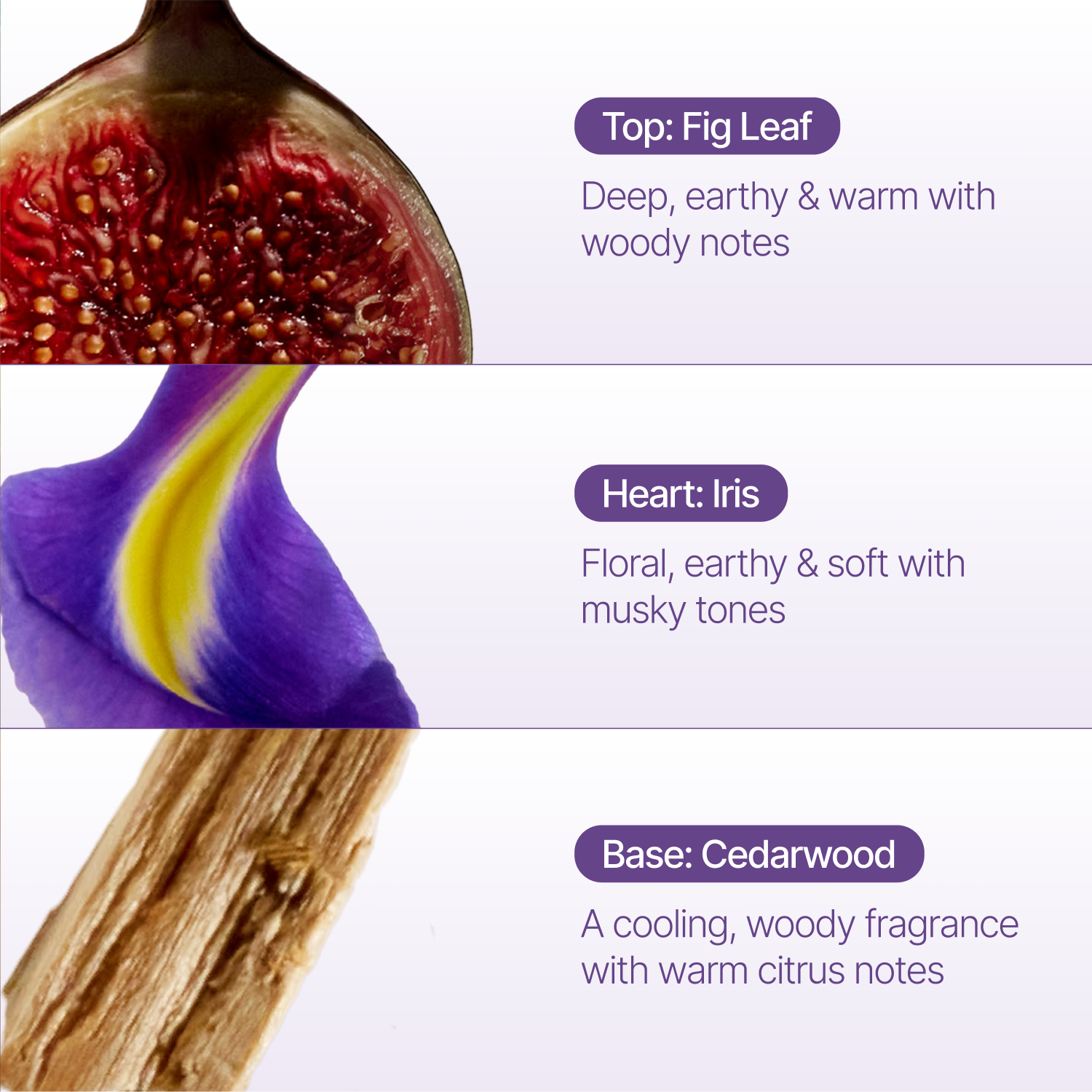 Fig Leaf Reed Diffuser