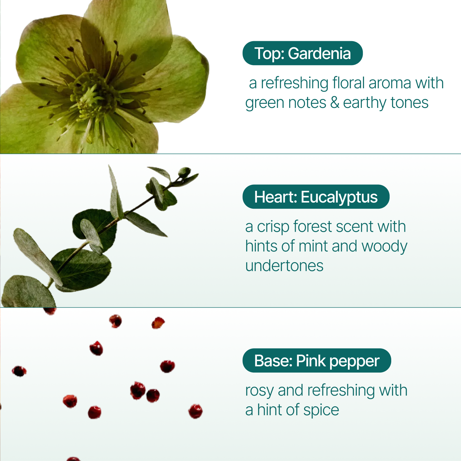 Gardenia Reed Diffuser