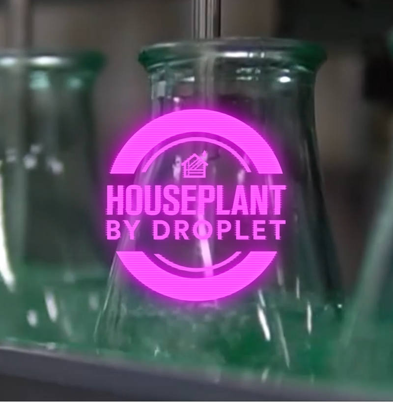 Houseplant by Droplet reed diffuser in the wild 1