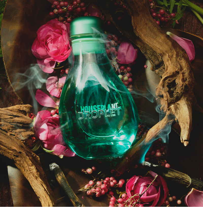 Houseplant by Droplet reed diffuser in the wild 8