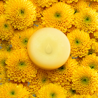 Mimosa Melts