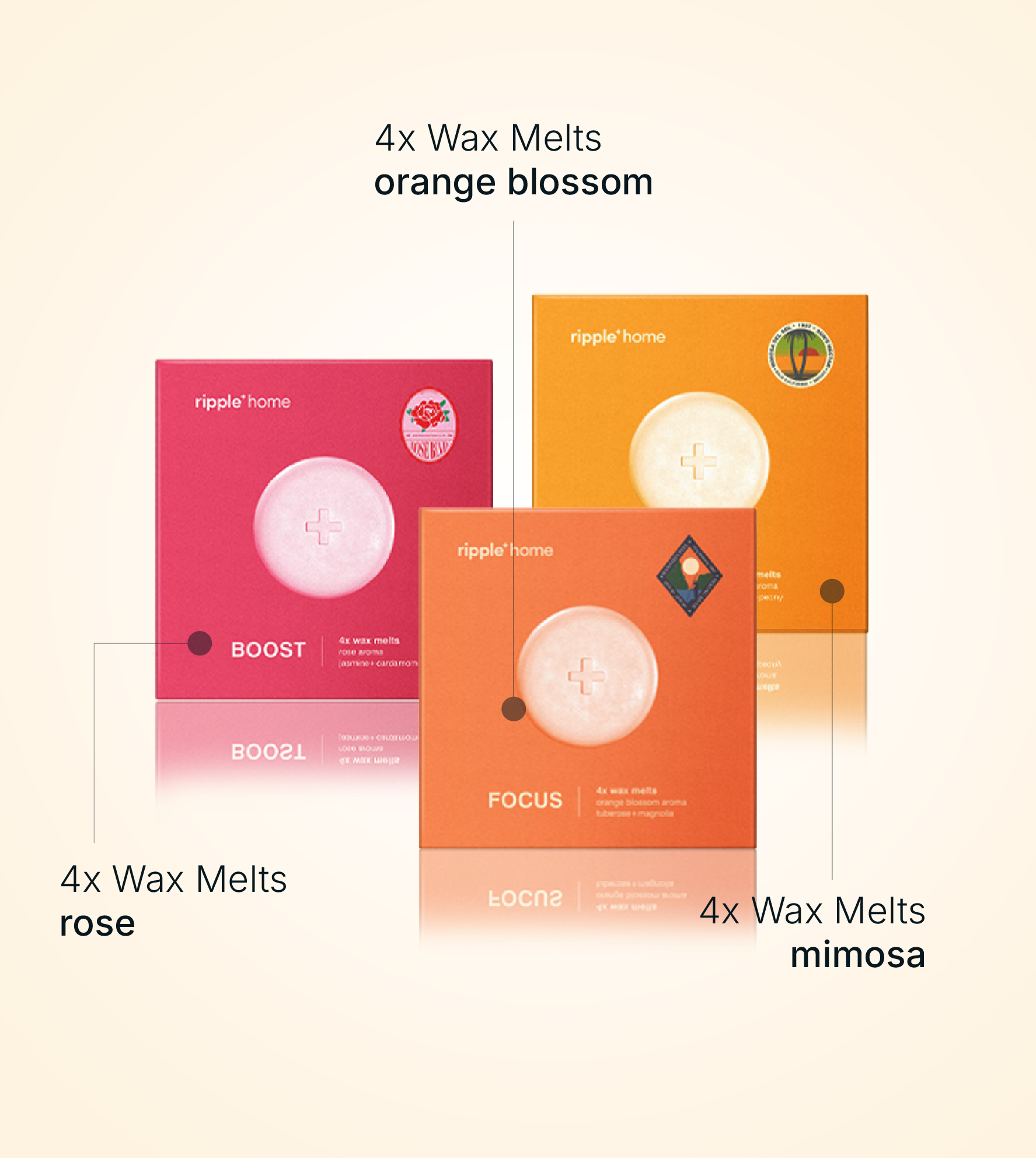Floral & Radiant Melts