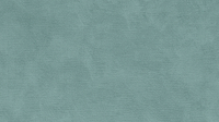 Aqua