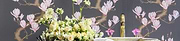 Cole and Son Wallpaper: Luxury Wallpaper with Timeless Appeal